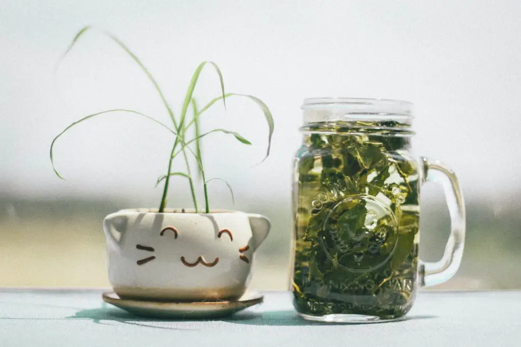 Green Tea Benefits For Skin
